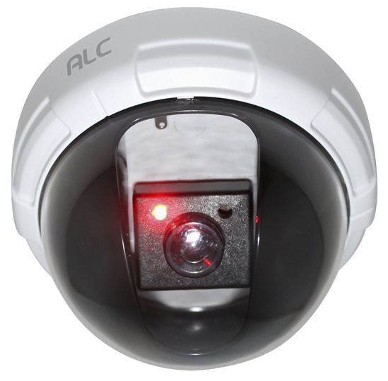 Cámara domo de vigilancia de seguridad Decoy