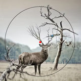 3x44 Red & Green Dot Tactical Scope – 11mm/20mm Rail Mount